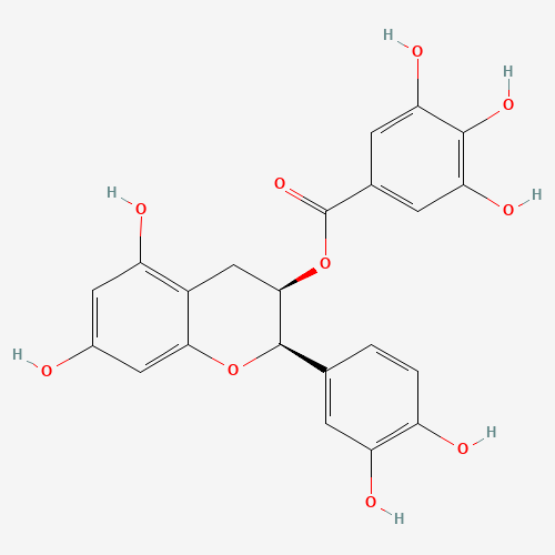 (-)-Epicatechin gallate