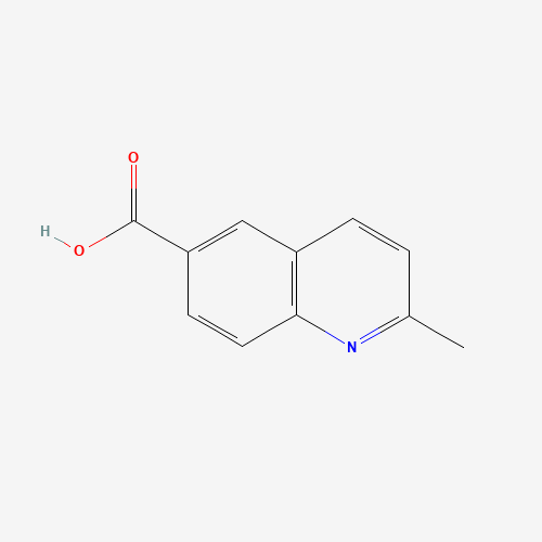 2-Methyl-6-quinolinecarboxylic acid