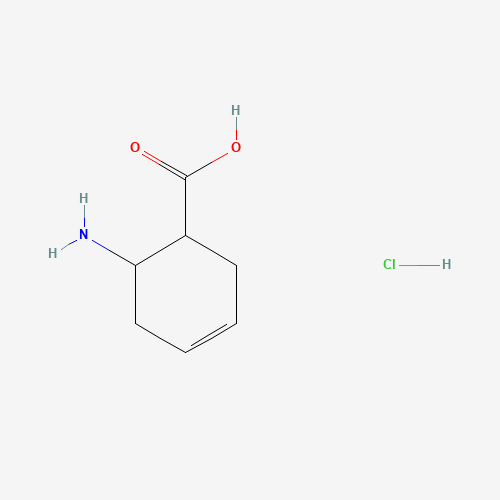 6-Aminocyclohex-3-enecarboxylic acid hydrochloride 97945-19-2