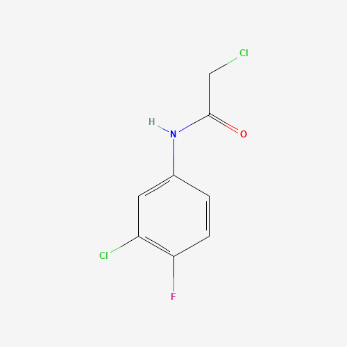 2-Chloro-N-(3-chloro-4-fluorophenyl)acetamide 96980-64-2