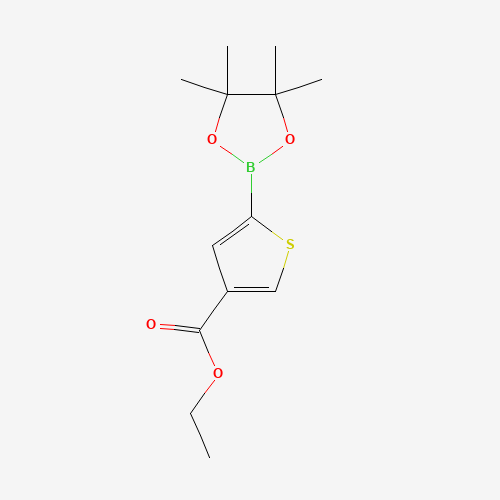 Ethyl 5-(4,4,5,5-tetramethyl-1,3,2-dioxaborolan-2-yl)thiophene-3-carboxylate 960116-27-2